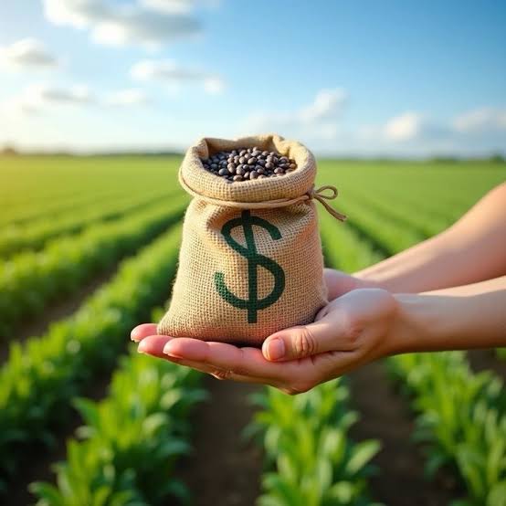 MONEY CAN START A FARM, BUT EXPERTISE MAKES IT PROFITABLE
